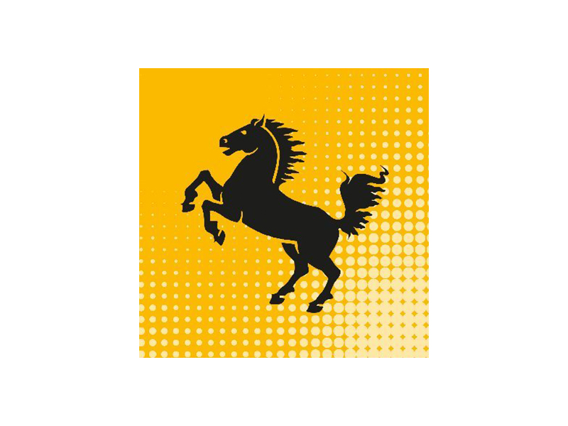 Methoden, Einblicke und Potentiale prozessbegleitender Evaluationsforschung